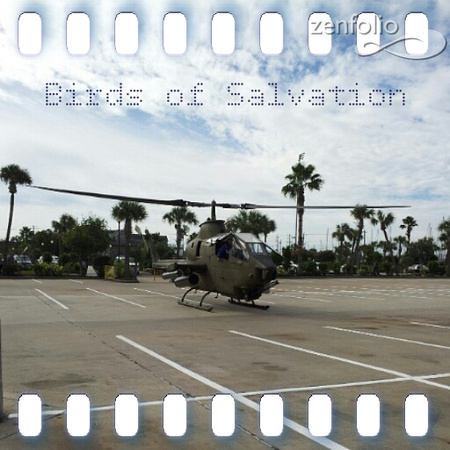 Birds of Salvation